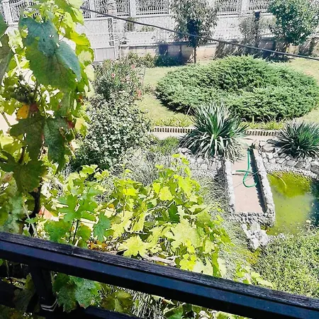 Apartment Nina Negotin