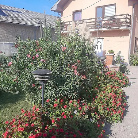 Apartamento Nina Negotin