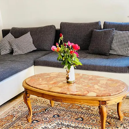 Apartment Nina Negotin