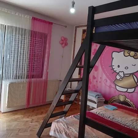 Nina Apartment Negotin