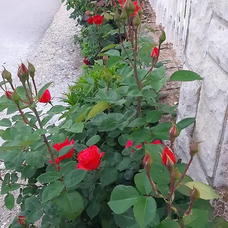 Апартаменты Nina