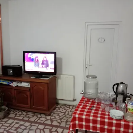 Апартаменты Nina Неготин