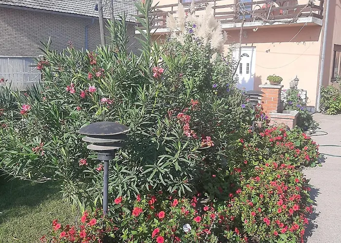 아파트 Nina 네고틴